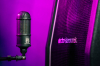 EH-R1 Ribbon Microphone - - alt view 2