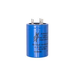 F&amp;T Dual Value Radial Capacitors (RoHS)