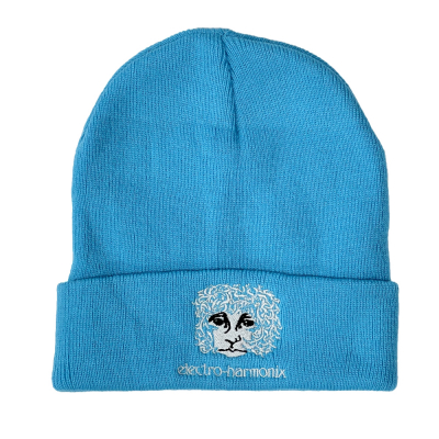 EHX Beanie - Turquoise