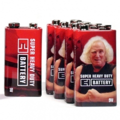 Electro-Harmonix Batteries